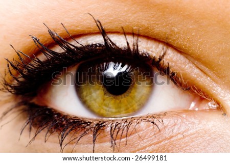 Hazel color eye of a woman