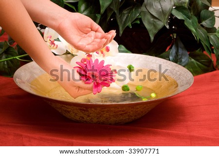 Woman's hands in a bowl of water