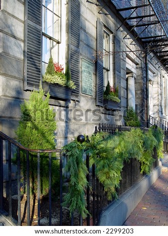 Pine branch garland adorning black wrough iron fence in boston in early december