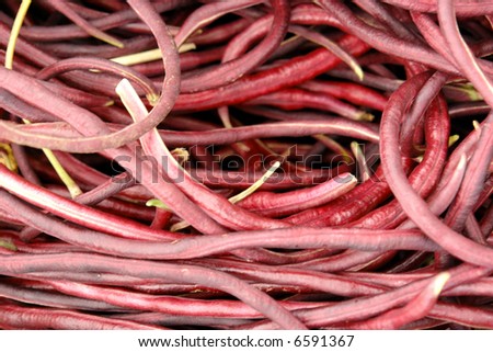 swirling basket full of red string beans from newport oregon, can be used as background image