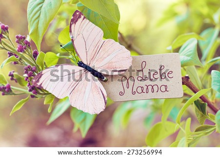 syringa nature greeting card background - german for dear mom