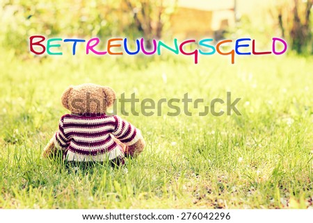 toy - little teddy bear sitting on green grass in garden - german for child care subsidy