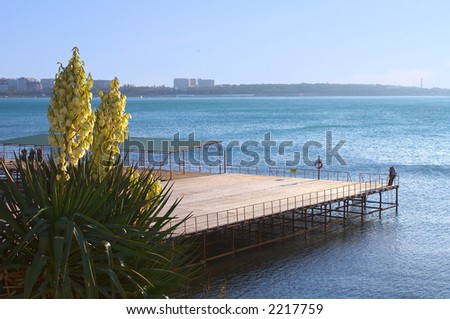 Palm tree, pier, the man and the woman. Romance.