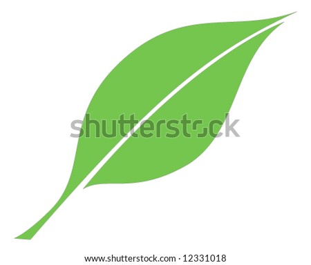 Leaf Stock Vector Illustration 12331018 : Shutterstock