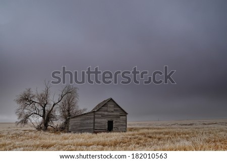 Old abandoned barn in an open field on an icy morning
