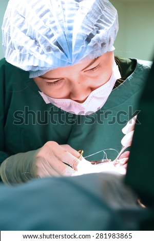 veterinarian surgeons in operation room