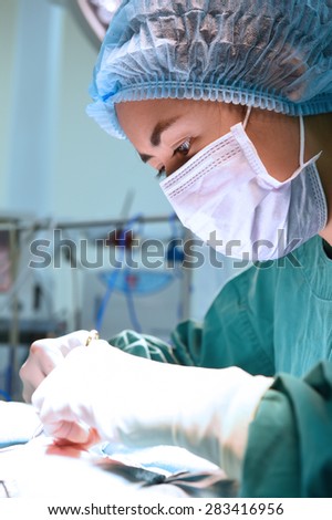 veterinarian surgery in operation room
