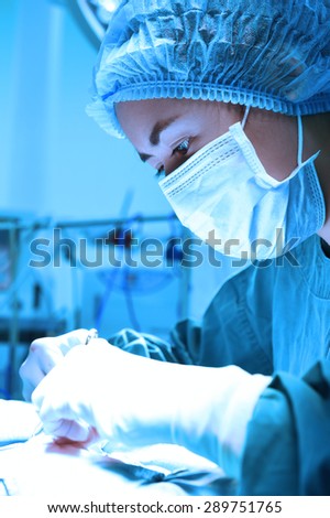 veterinarian surgery in operation room take with art lighting and blue filter