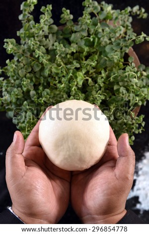 close up of balls of fresh pizza dough in hand and oregano plants