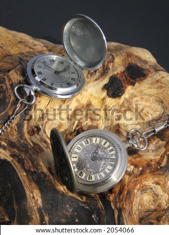 A pair of antique pocket watches on an interesting piece of twisted wood.