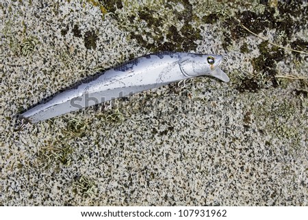 A fishing lure left on a rock in the shape of a silver fish.
