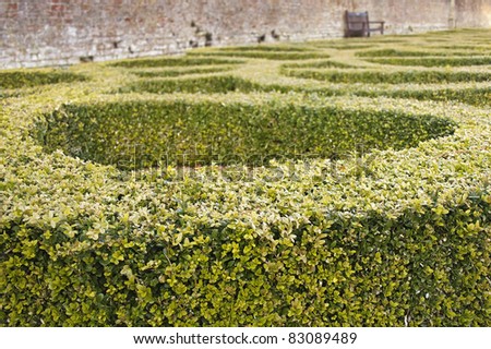 Box Hedge Gardens