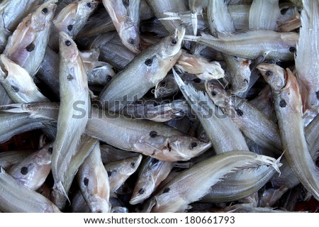 Dried fish as a food of the people of Asia, dried fish used as background