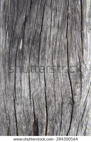 Crack wood texture for background, it is the art of wood.