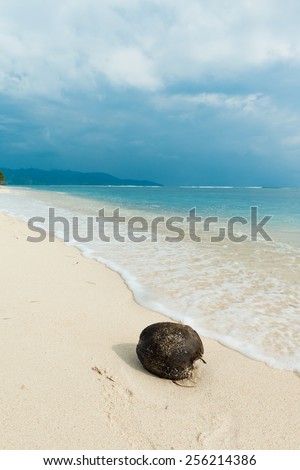 Coconut on the beach at exotic indonesian pacific island location