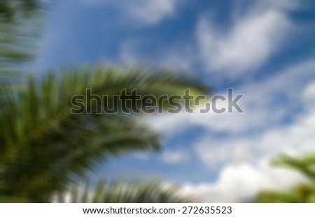 Blue sky palm tree leaves and clouds - view of summer sky at seaside resort
