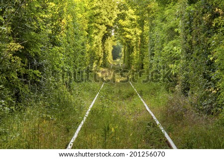 Tunnel of \
