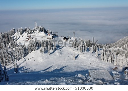 Mountain With Trees