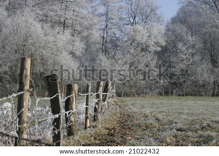 beginning of winter with a fence with frozen trees
