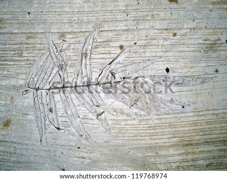 Abstract background from fallen leaves ,the leaf rubbing