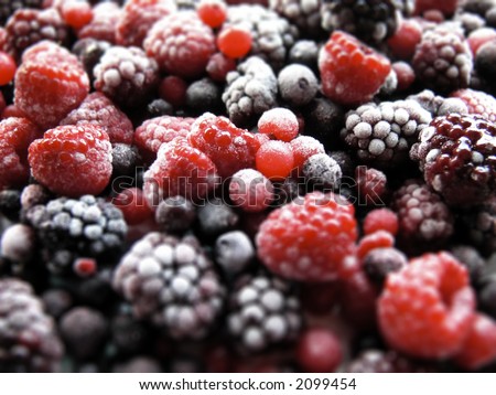 soft fruit -- blackberries, raspberries, redcurrants, rimed with frost