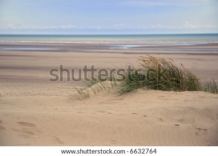 sand dunes, empty beach, sea and summer sky; differential focus on coarse grass in mid-foreground