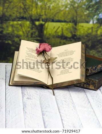Vintage poetry book with red rose; lying on table against countryside background