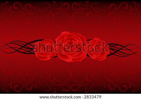 red rose drawing. Grape vines know, rose vine by