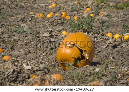 Broken Pumpkin