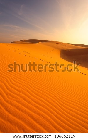 Deserts and Sand Dunes Landscape at Sunrise