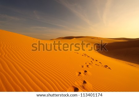 Deserts and Sand Dunes Landscape at Sunrise