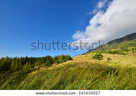 Savanna Landscape on the Mountain