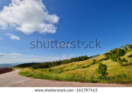 Road and Savanna Landscape on the Mountain