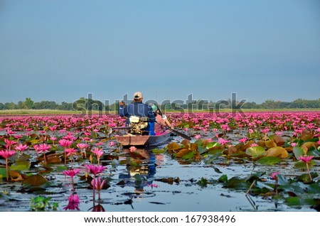 Long Tail Boat in Lotus Lake
