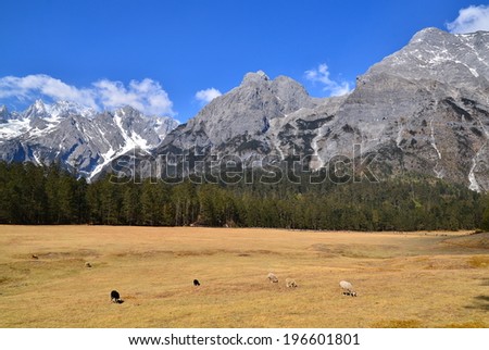 Alpine Mountain Landscape in Spring Season