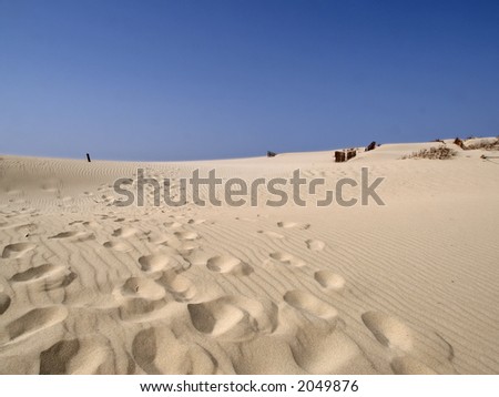 footstep in sand dune