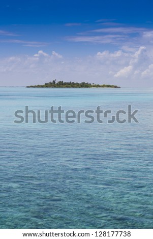 tropical island with palms under a deep blue sky with some clouds and a turquoise sea