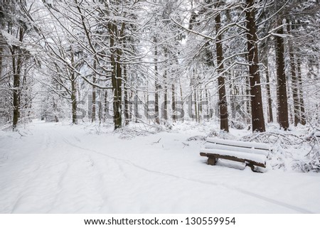 one bench in a snowy white winter forest
