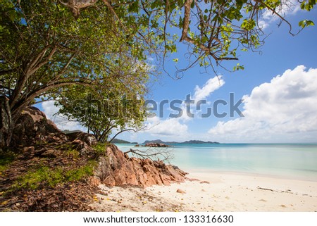 tropical beach from Seychelles with exotic trees, white sand, turquoise sea and blue sky with white clouds