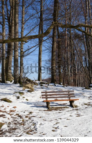 bench in snowy winter forest, sunny weather with blue sky