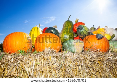 red, yellow and green pumpkins on a bale of straw under a blue sky