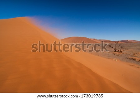 sand storm and red dune in the namibian Namib desert, Naukluft Park, Namibia, Africa
