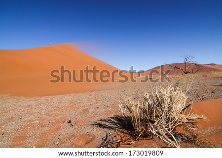 sand storm and red dune in the namibian Namib desert, Naukluft Park, Namibia, Africa