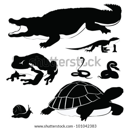 Vector Illustration: Set of reptiles silhouette