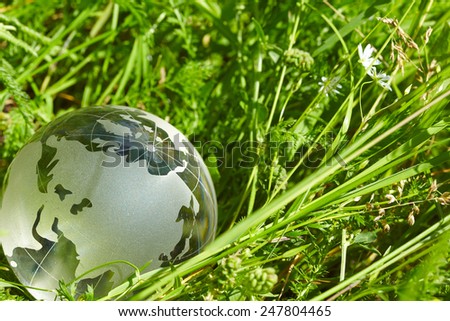 glass globe in the grass