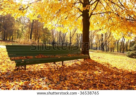 Fall Backgrounds on Autumn  Fall Background Stock Photo 36538765   Shutterstock