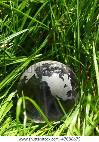 Globe in a grass, ecology