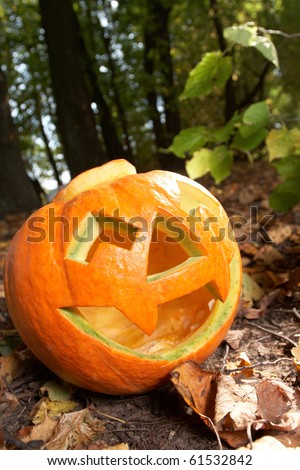 Creepy carved pumpkin face, with a smile, in park