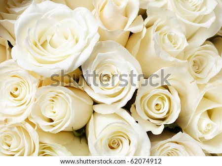 Roses Cream