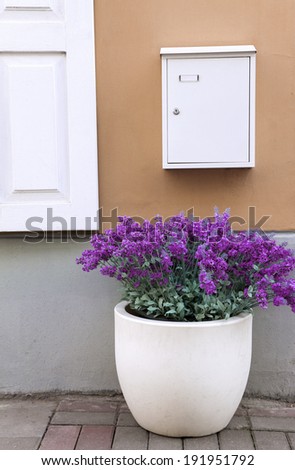 Home entrance with flower pot and mail box